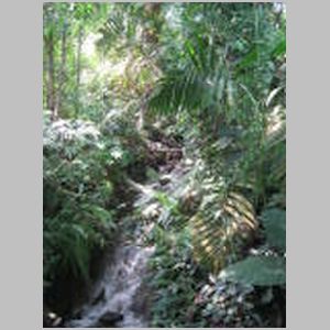 The Eden Project