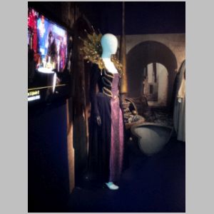 Vampires in Venice Queen Costume