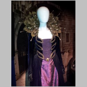 Vampires in Venice Queen Costume