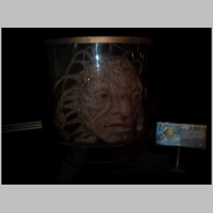 Face of Boe