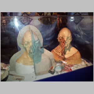 Ood